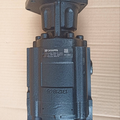 Wysoka gwarancja Dieci BHD3119 Hydraulic Pump Casappa 799141AS